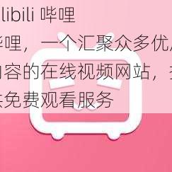 bilibili 哔哩哔哩，一个汇聚众多优质内容的在线视频网站，提供免费观看服务