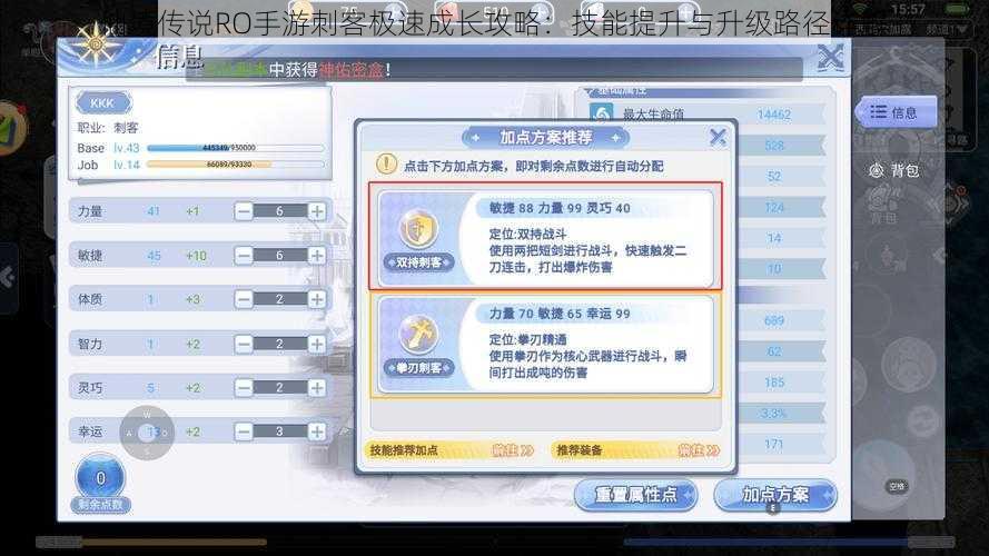 仙境传说RO手游刺客极速成长攻略：技能提升与升级路径详解