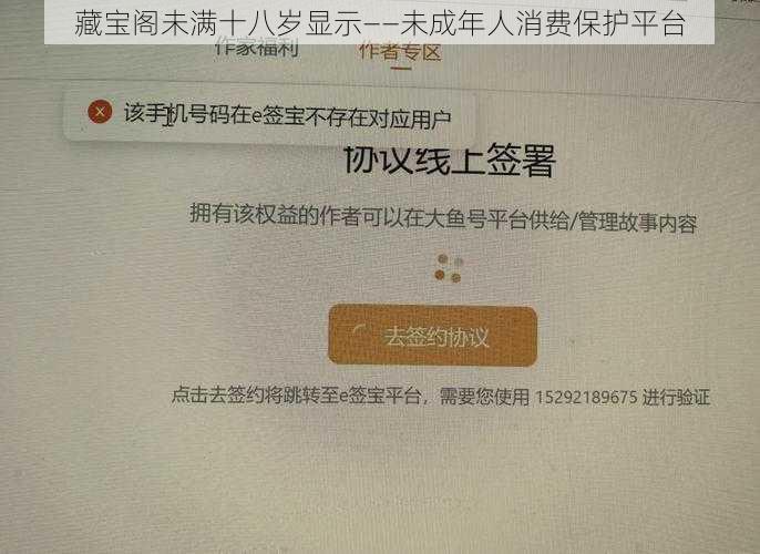 藏宝阁未满十八岁显示——未成年人消费保护平台