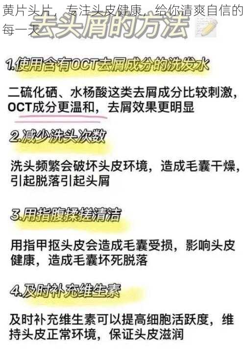 黄片头片，专注头皮健康，给你清爽自信的每一天