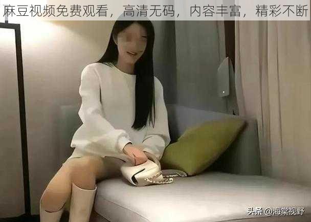 麻豆视频免费观看，高清无码，内容丰富，精彩不断