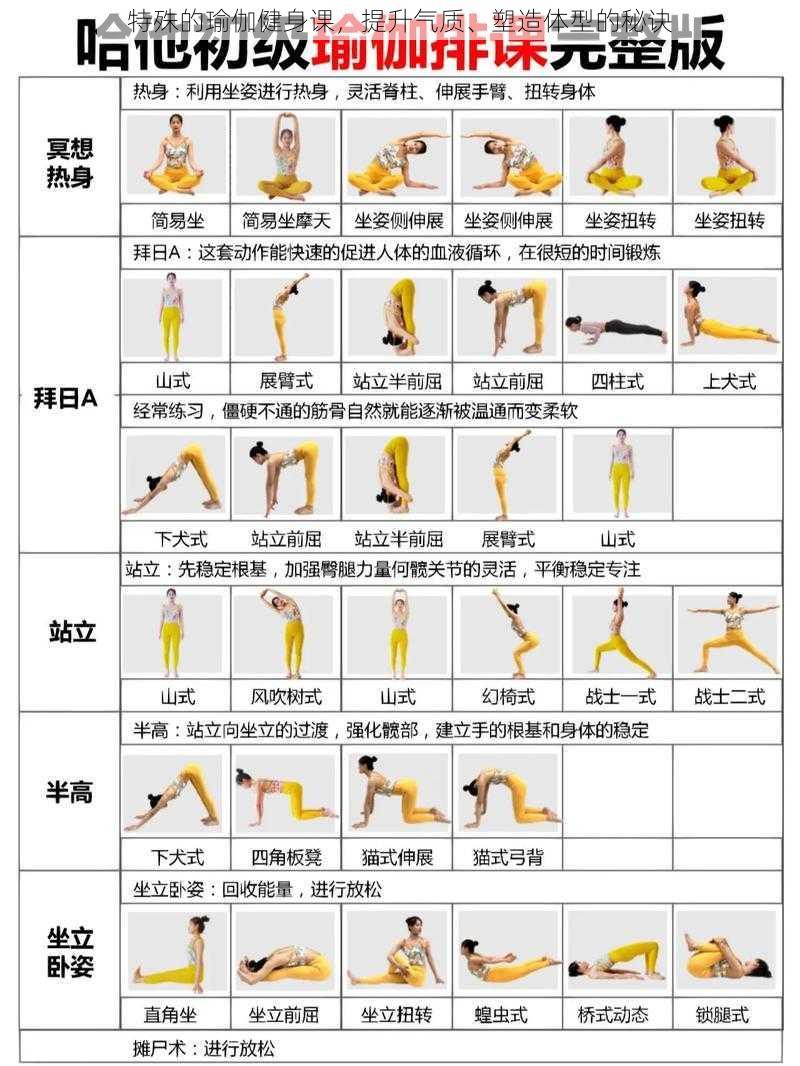 特殊的瑜伽健身课，提升气质、塑造体型的秘诀