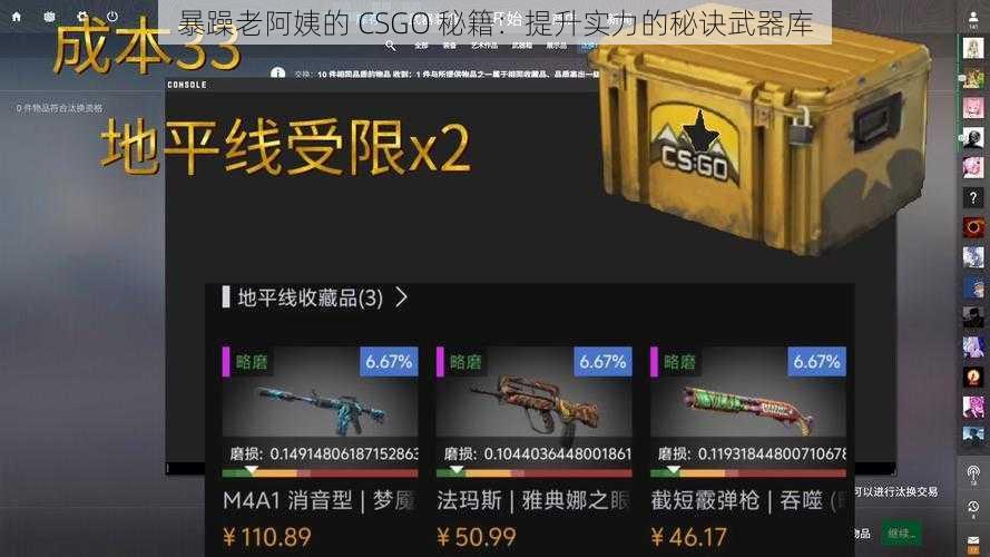 暴躁老阿姨的 CSGO 秘籍：提升实力的秘诀武器库