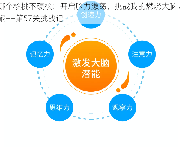 哪个核桃不硬核：开启脑力激荡，挑战我的燃烧大脑之旅——第57关挑战记