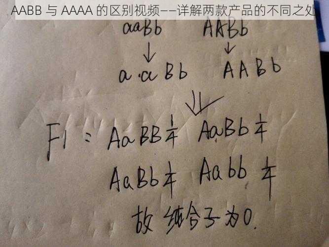 AABB 与 AAAA 的区别视频——详解两款产品的不同之处