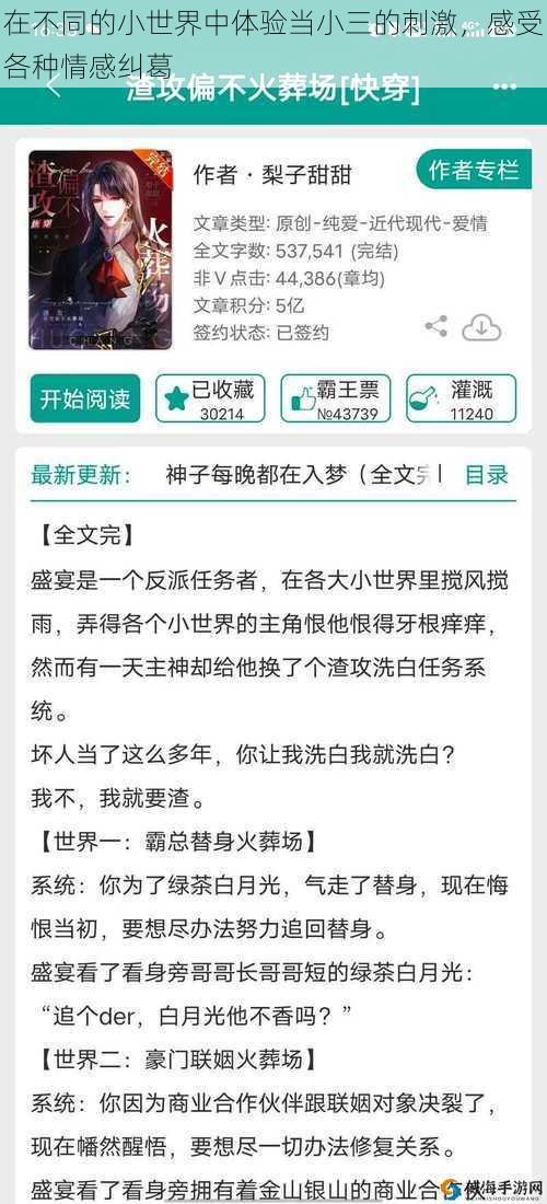 在不同的小世界中体验当小三的刺激，感受各种情感纠葛