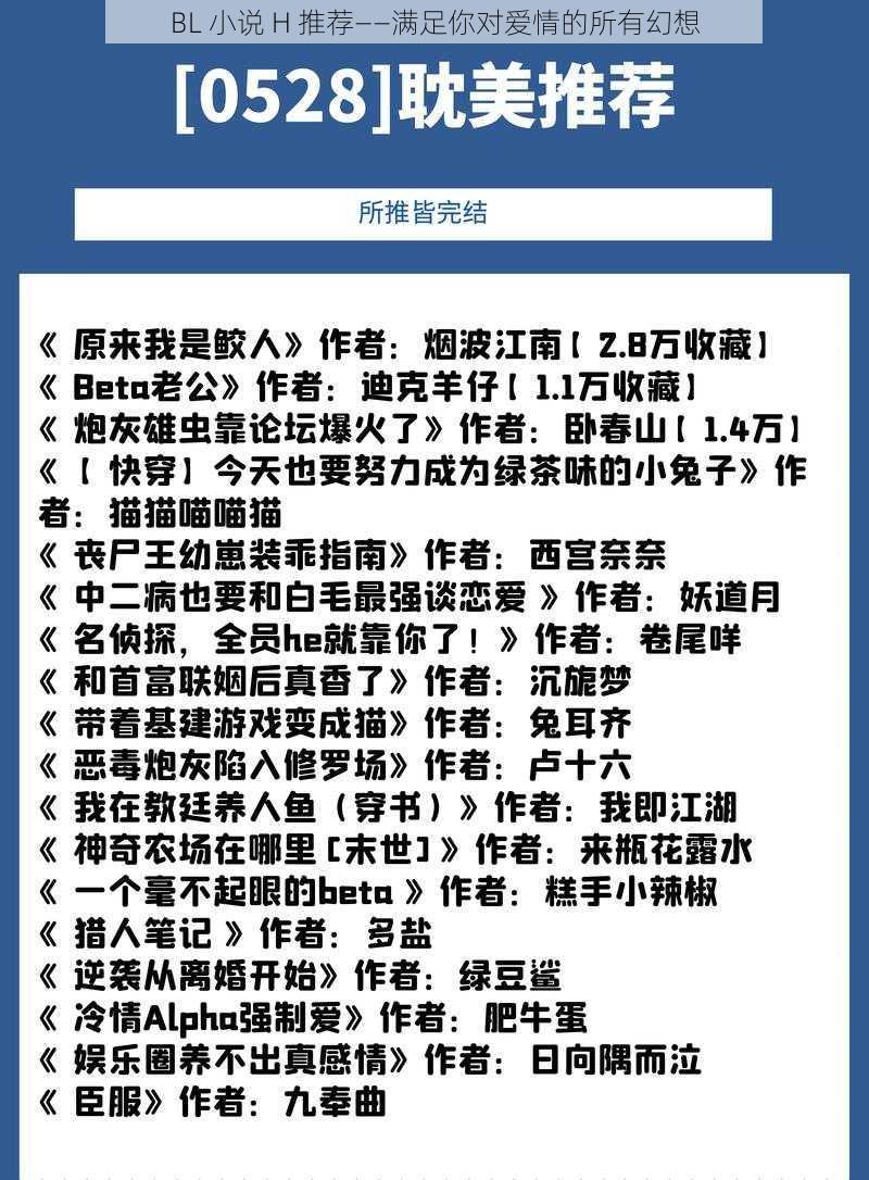 BL 小说 H 推荐——满足你对爱情的所有幻想