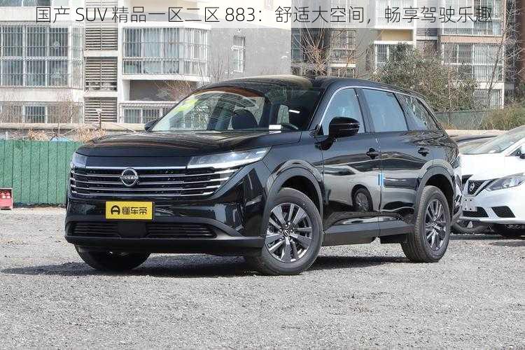 国产 SUV 精品一区二区 883：舒适大空间，畅享驾驶乐趣