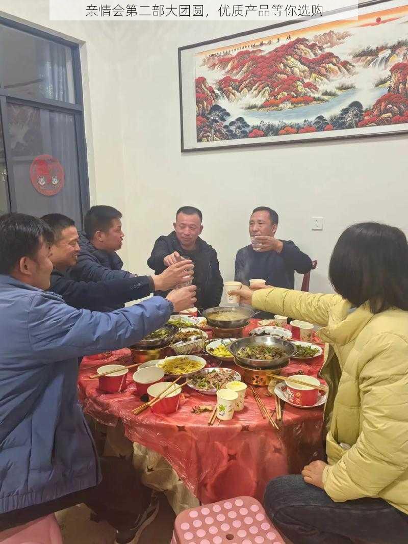 亲情会第二部大团圆，优质产品等你选购