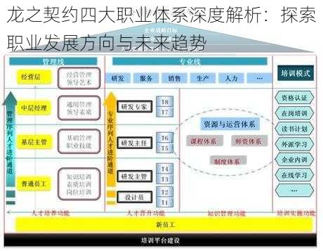 龙之契约四大职业体系深度解析：探索职业发展方向与未来趋势