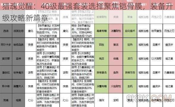 猎魂觉醒：40级最强套装选择聚焦铠骨膜，装备升级攻略新篇章