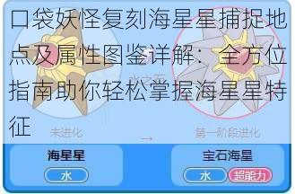 口袋妖怪复刻海星星捕捉地点及属性图鉴详解：全方位指南助你轻松掌握海星星特征