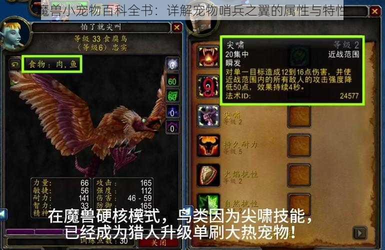 魔兽小宠物百科全书：详解宠物哨兵之翼的属性与特性