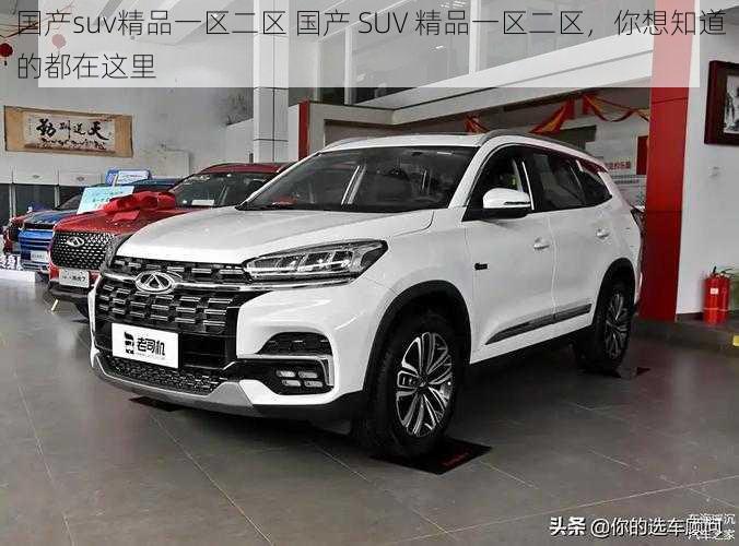 国产suv精品一区二区 国产 SUV 精品一区二区，你想知道的都在这里