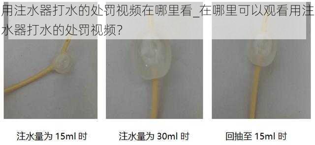 用注水器打水的处罚视频在哪里看_在哪里可以观看用注水器打水的处罚视频？