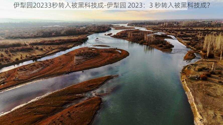 伊犁园20233秒转入被黑科技成-伊犁园 2023：3 秒转入被黑科技成？