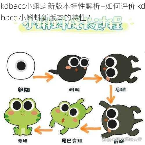 kdbacc小蝌蚪新版本特性解析—如何评价 kdbacc 小蝌蚪新版本的特性？