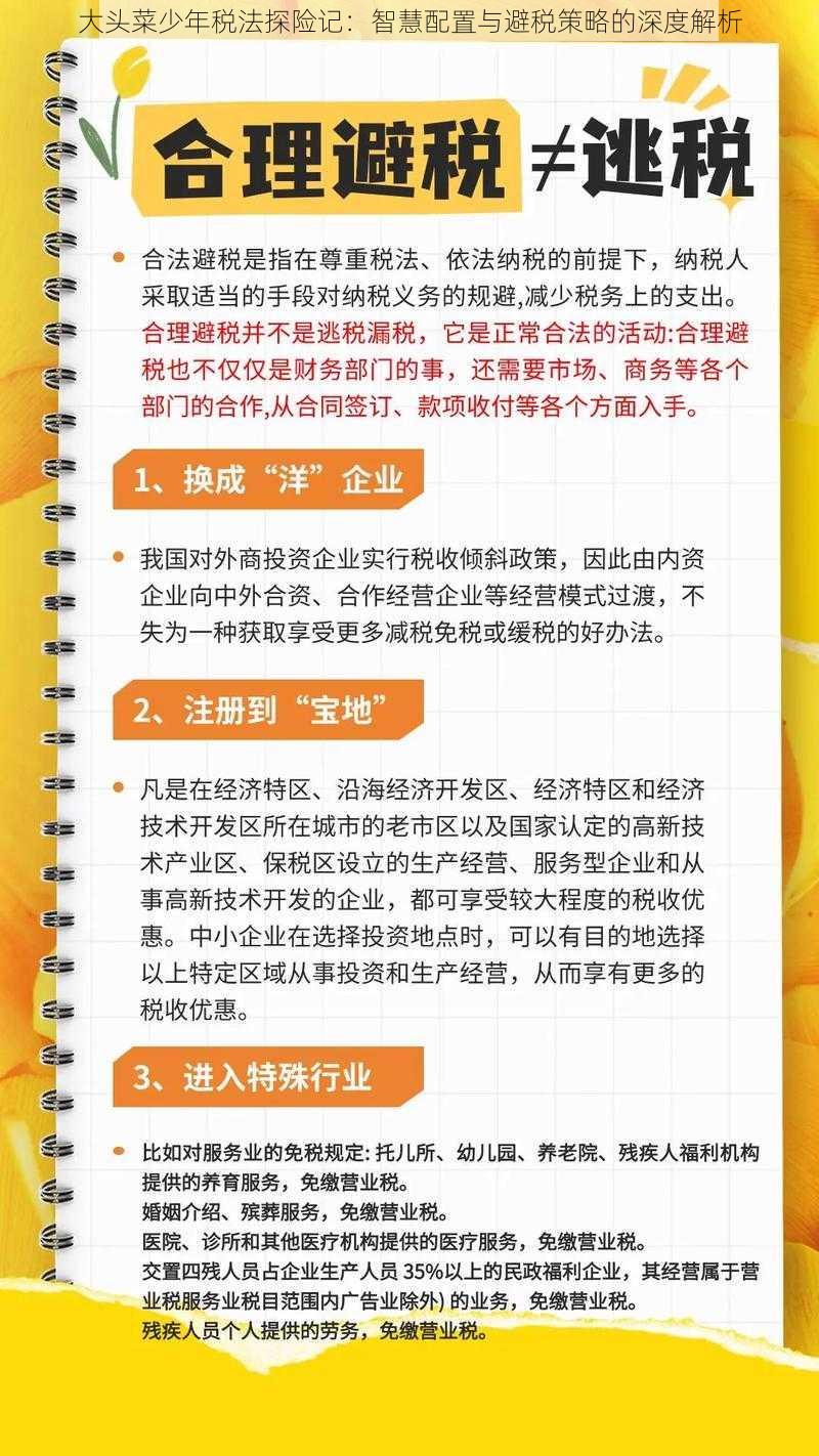 大头菜少年税法探险记：智慧配置与避税策略的深度解析