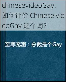 chinesevideoGay、如何评价 Chinese videoGay 这个词？