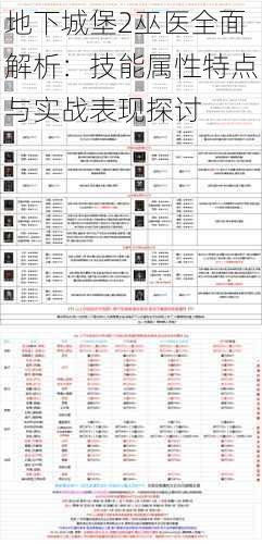 地下城堡2巫医全面解析：技能属性特点与实战表现探讨