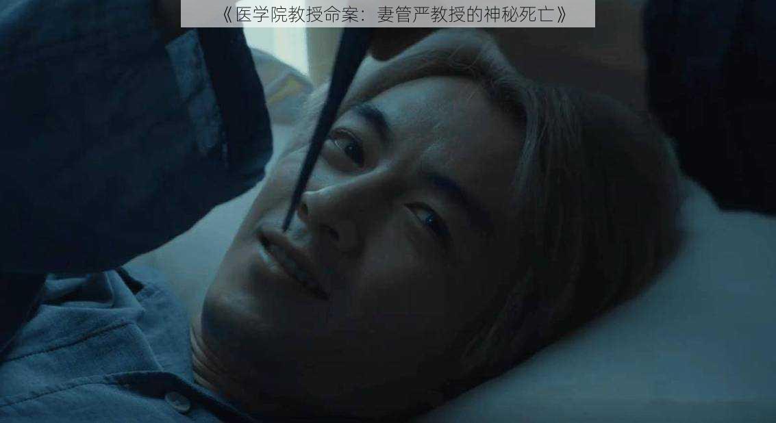 《医学院教授命案：妻管严教授的神秘死亡》