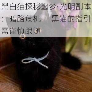 黑白猫探秘噩梦·光明副本：暗路危机——黑猫的指引需谨慎跟随