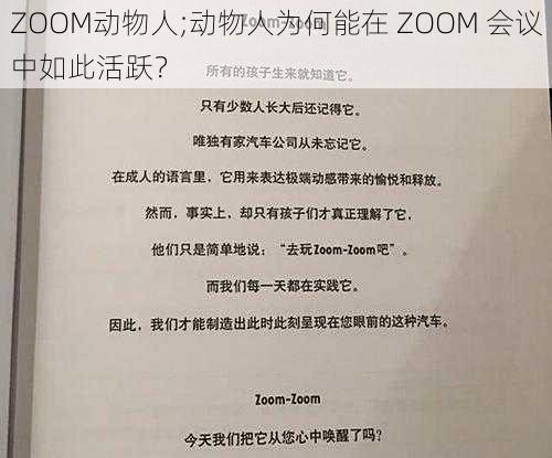 ZOOM动物人;动物人为何能在 ZOOM 会议中如此活跃？