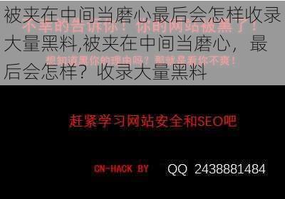 被夹在中间当磨心最后会怎样收录大量黑料,被夹在中间当磨心，最后会怎样？收录大量黑料