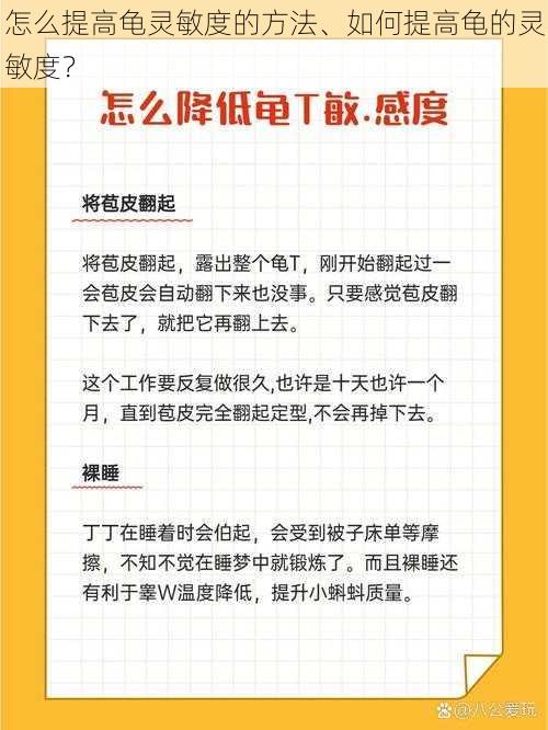 怎么提高龟灵敏度的方法、如何提高龟的灵敏度？