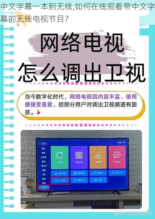 中文字幕一本到无线,如何在线观看带中文字幕的无线电视节目？