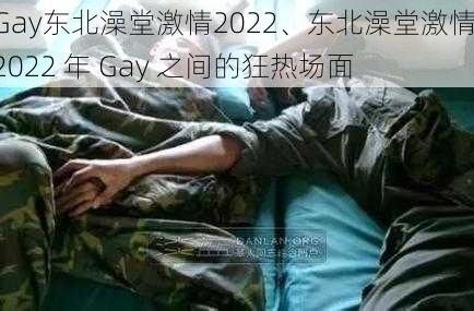 Gay东北澡堂激情2022、东北澡堂激情：2022 年 Gay 之间的狂热场面