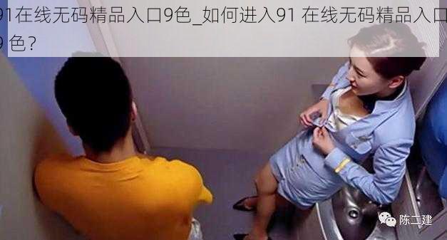 91在线无码精品入口9色_如何进入91 在线无码精品入口 9 色？