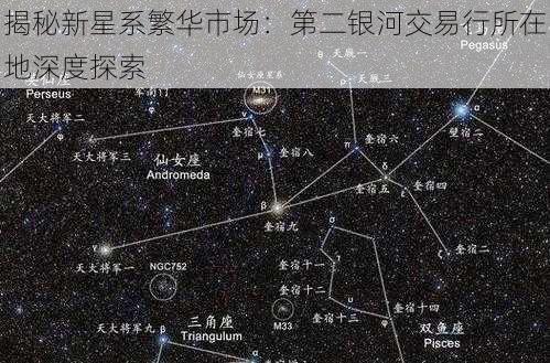 揭秘新星系繁华市场：第二银河交易行所在地深度探索