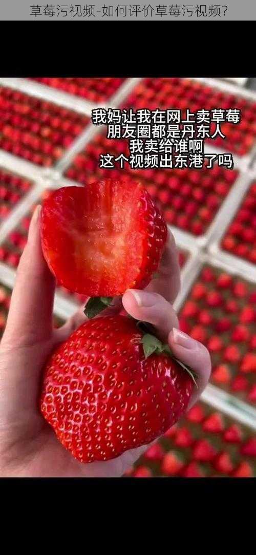 草莓污视频-如何评价草莓污视频？