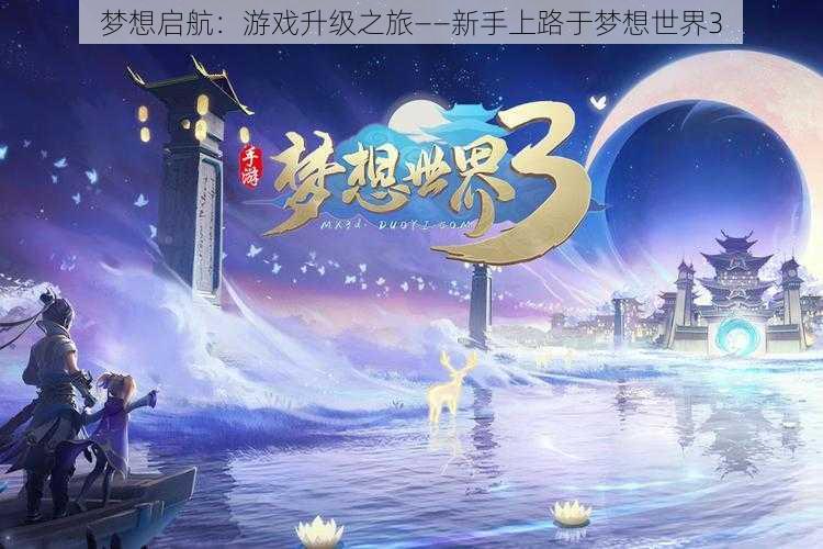 梦想启航：游戏升级之旅——新手上路于梦想世界3