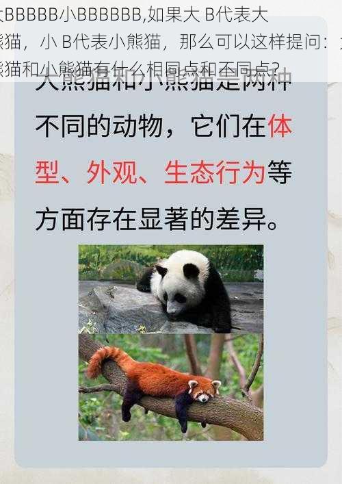 大BBBBB小BBBBBB,如果大 B代表大熊猫，小 B代表小熊猫，那么可以这样提问：大熊猫和小熊猫有什么相同点和不同点？