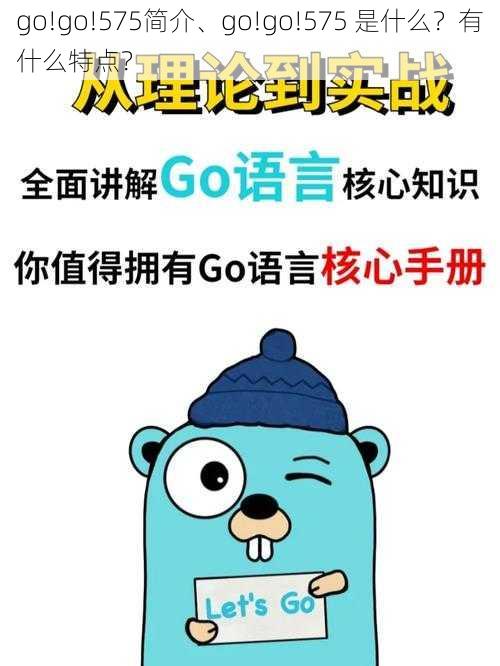 go!go!575简介、go!go!575 是什么？有什么特点？