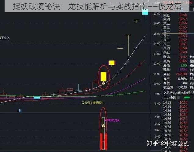 捉妖破境秘诀：龙技能解析与实战指南——傒龙篇