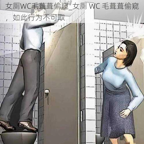 女厕WC毛葺葺偷窥_女厕 WC 毛葺葺偷窥，如此行为不可取