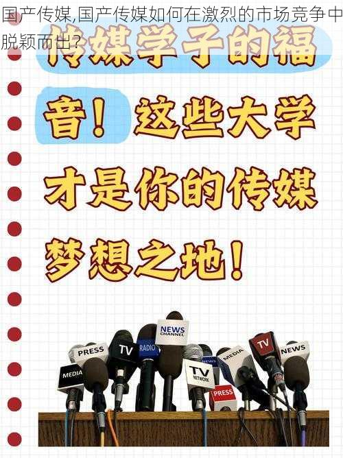 国产传媒,国产传媒如何在激烈的市场竞争中脱颖而出？