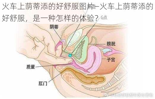 火车上荫蒂添的好舒服图片—火车上荫蒂添的好舒服，是一种怎样的体验？