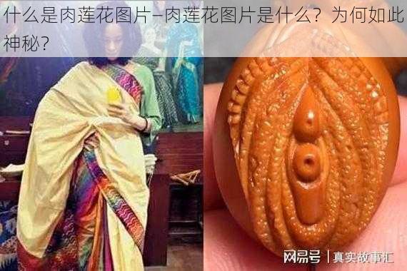 什么是肉莲花图片—肉莲花图片是什么？为何如此神秘？