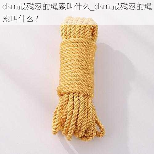 dsm最残忍的绳索叫什么_dsm 最残忍的绳索叫什么？