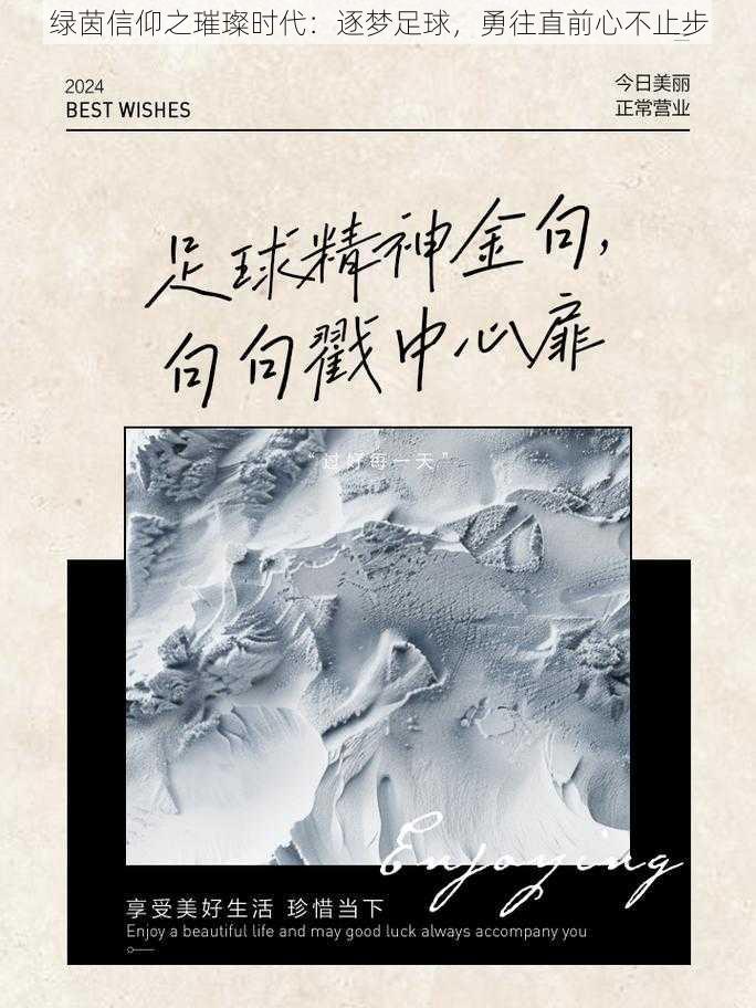 绿茵信仰之璀璨时代：逐梦足球，勇往直前心不止步