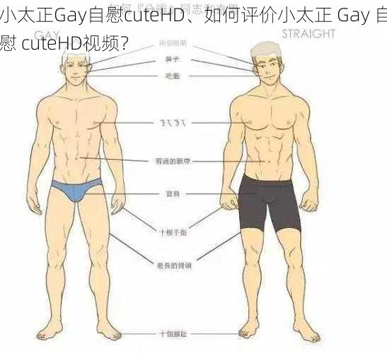 小太正Gay自慰cuteHD、如何评价小太正 Gay 自慰 cuteHD视频？