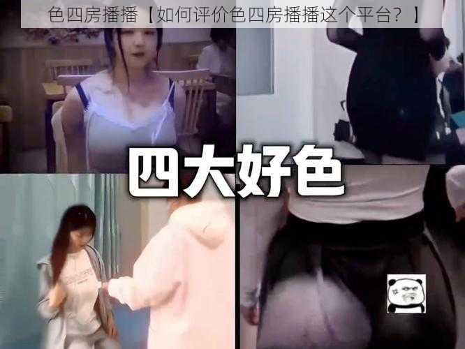 色四房播播【如何评价色四房播播这个平台？】