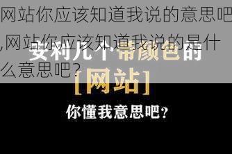 网站你应该知道我说的意思吧,网站你应该知道我说的是什么意思吧？