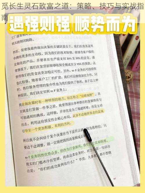 觅长生灵石致富之道：策略、技巧与实战指南