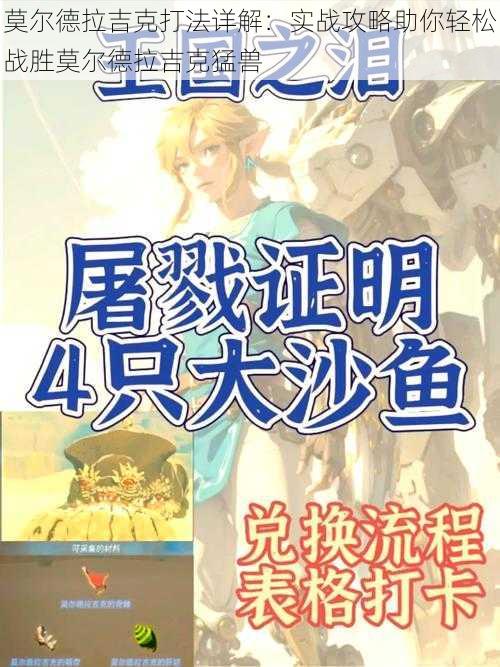 莫尔德拉吉克打法详解：实战攻略助你轻松战胜莫尔德拉吉克猛兽