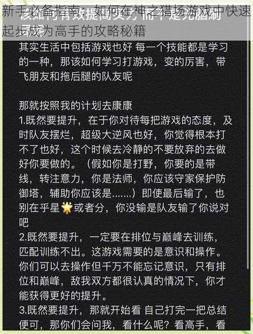 新手必备指南：如何在神之猎场游戏中快速起步成为高手的攻略秘籍